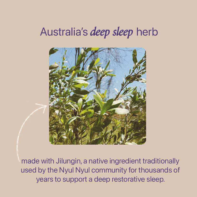 Sleep Tea - Berry - Image 2